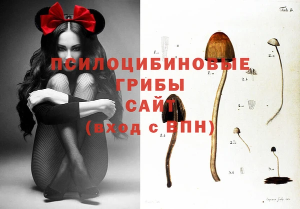 наркотики Дмитров